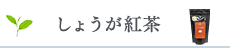 しょうが紅茶